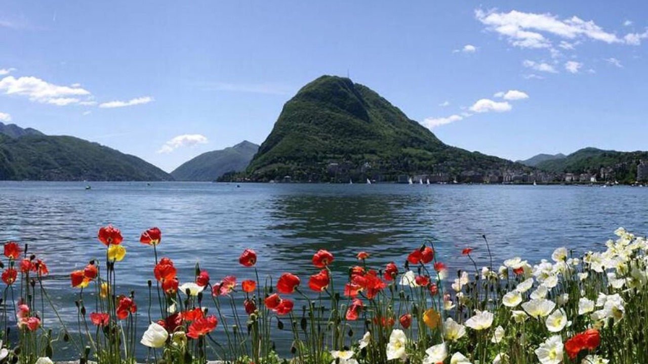 Photo of Others in Lugano