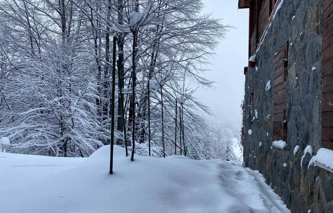 Photo of Outdoor in Kopaonik