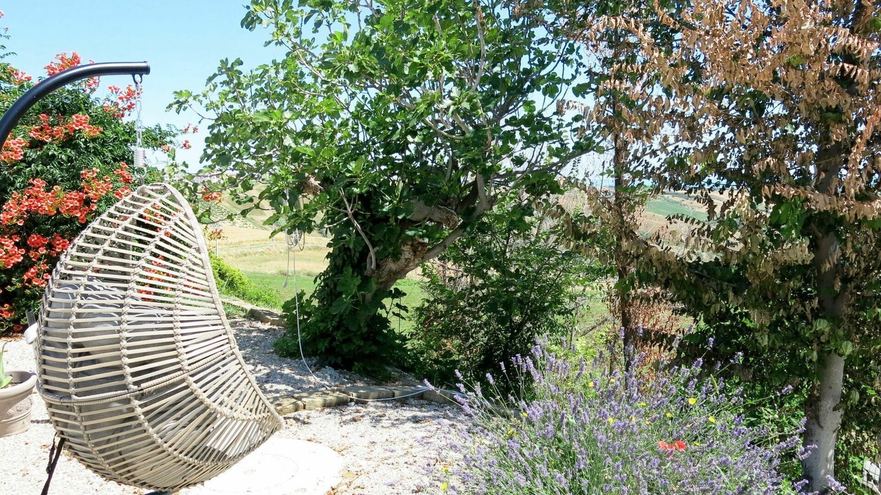 Photo of Others in Cologna Spiaggia