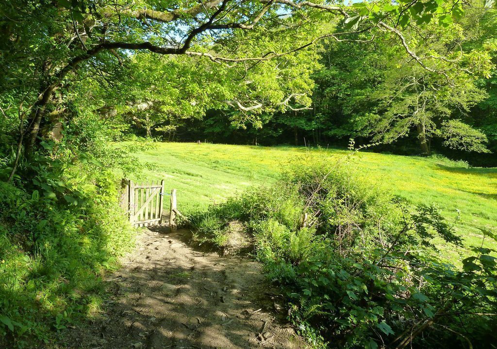 Photo of Outdoor in Saint Gennys