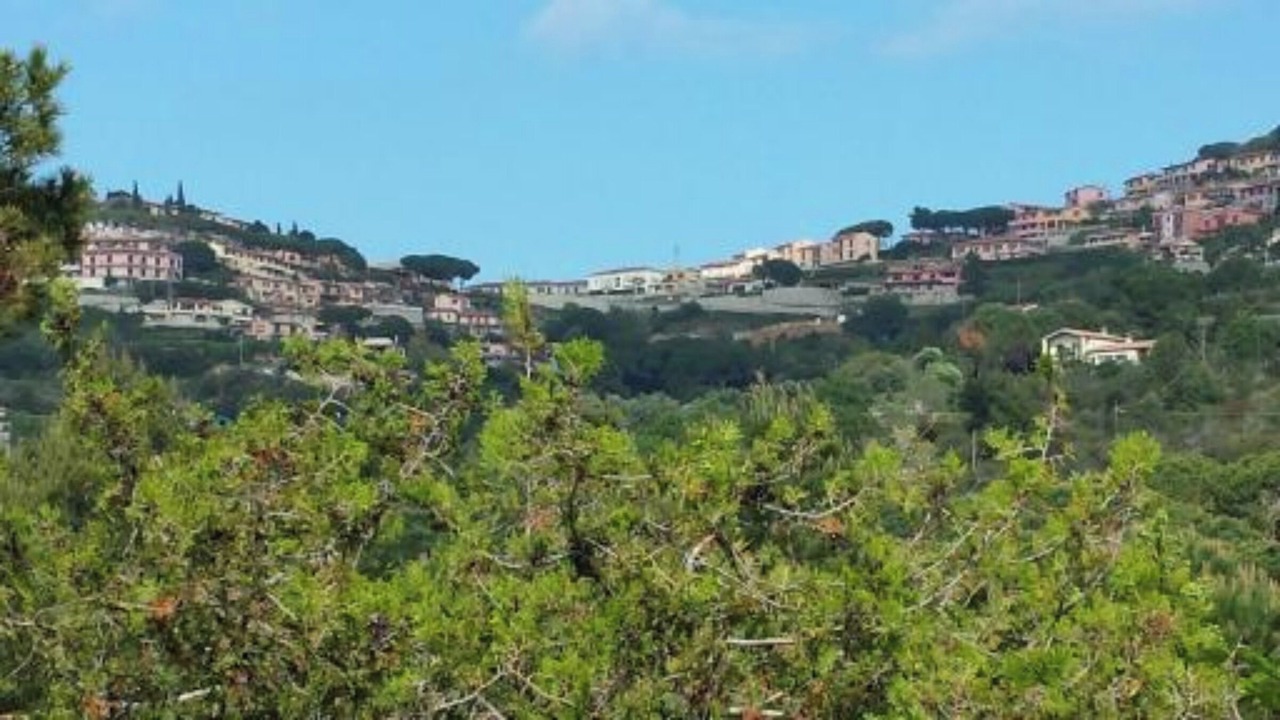 Photo of Others in Madonna delle Grazie