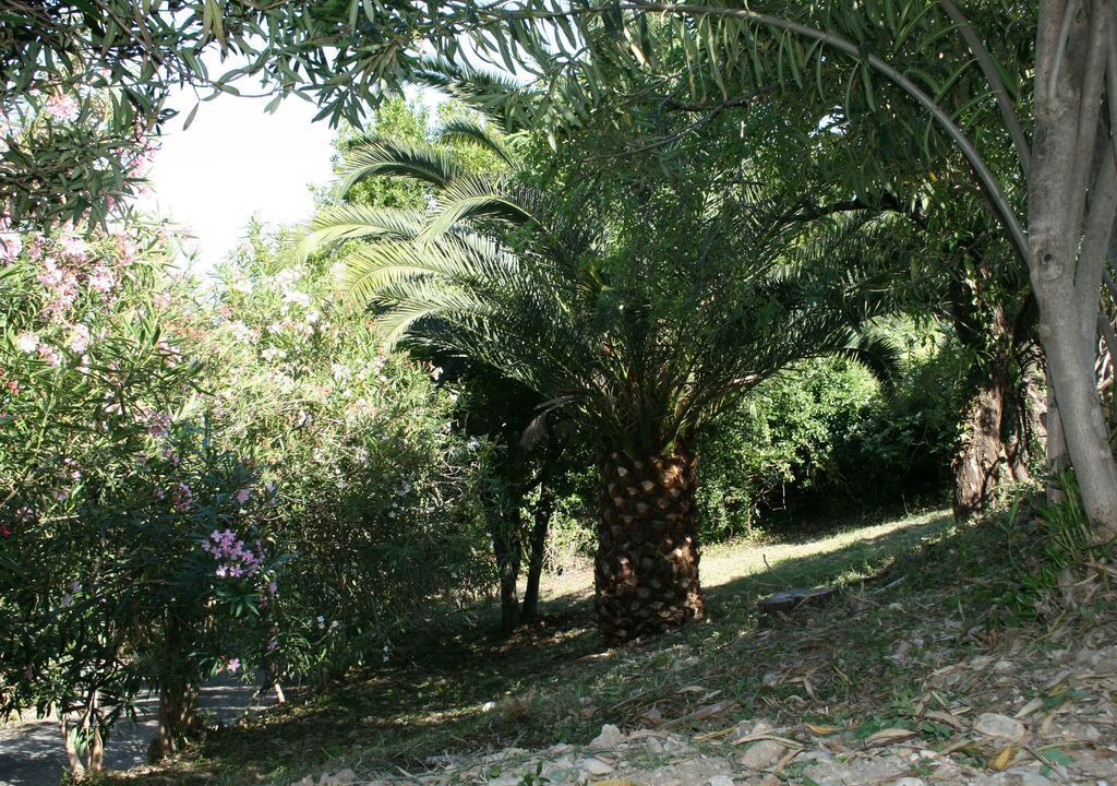 Photo of Outdoor in Torino di Sangro