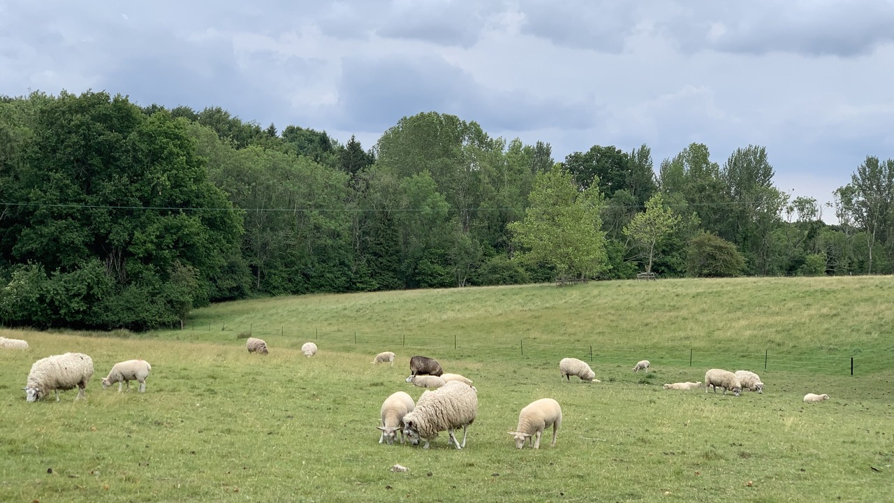 Photo of Outdoor in Uckfield