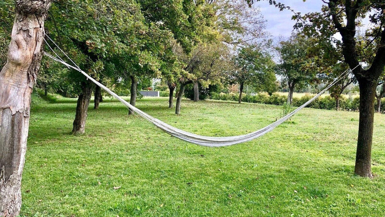 Photo of Outdoor in Monteviale