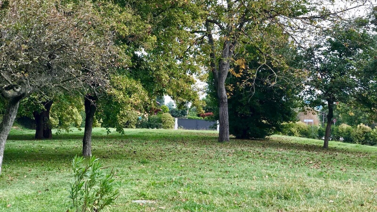 Photo of Outdoor in Monteviale
