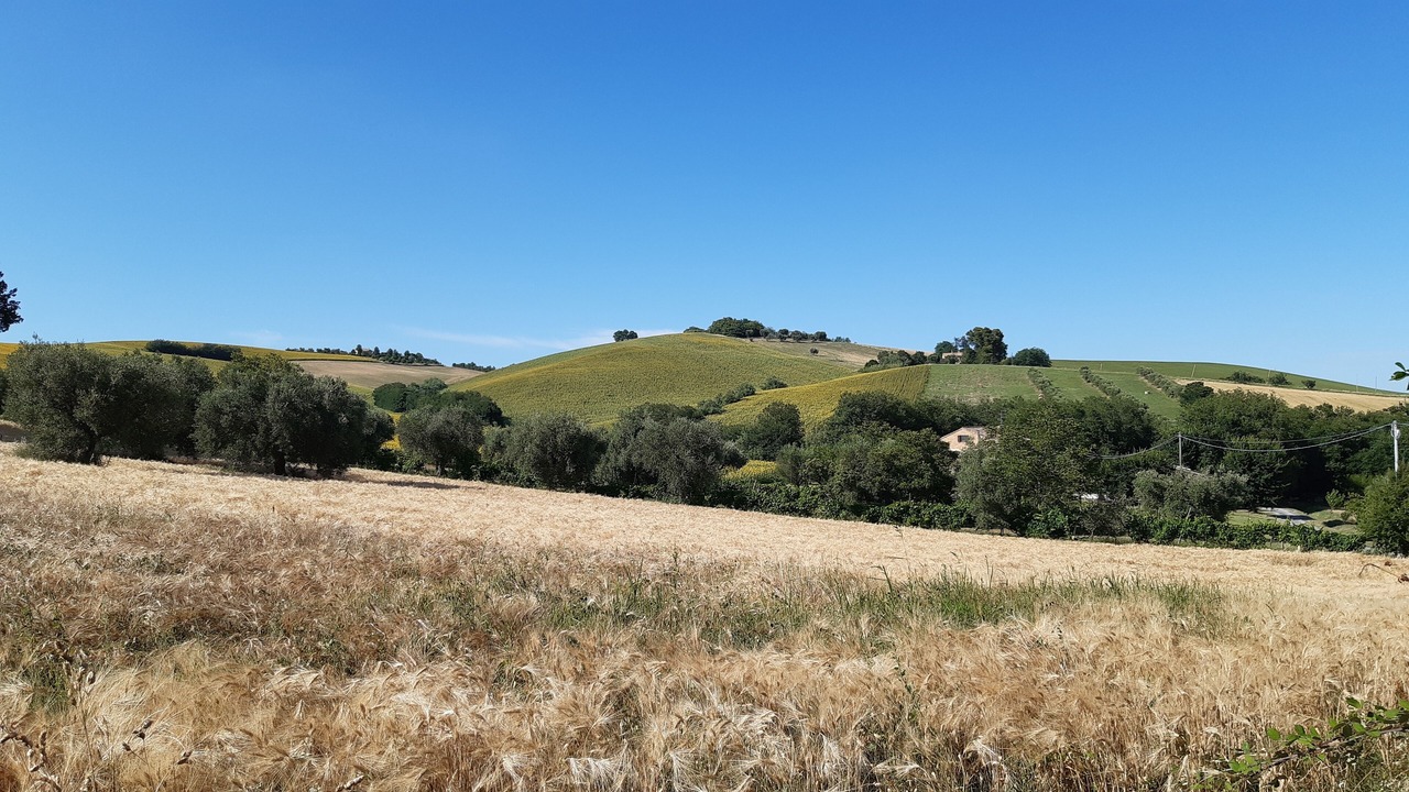 Photo of Outdoor in Treia