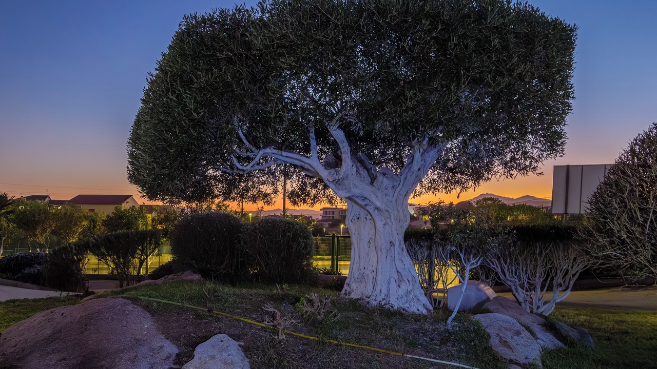 Photo of Outdoor in Golfo Aranci