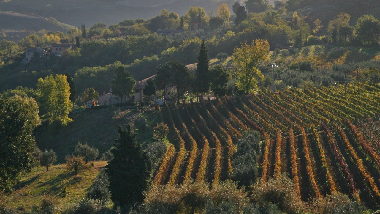 Photo of Outdoor in San Pietro in Bossolo