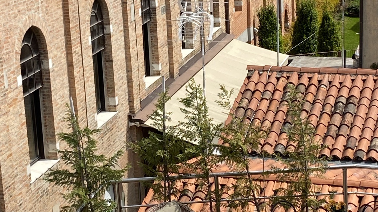 Photo of Outdoor in Longa