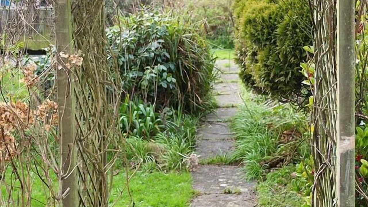 Photo of Outdoor in Gorran Haven