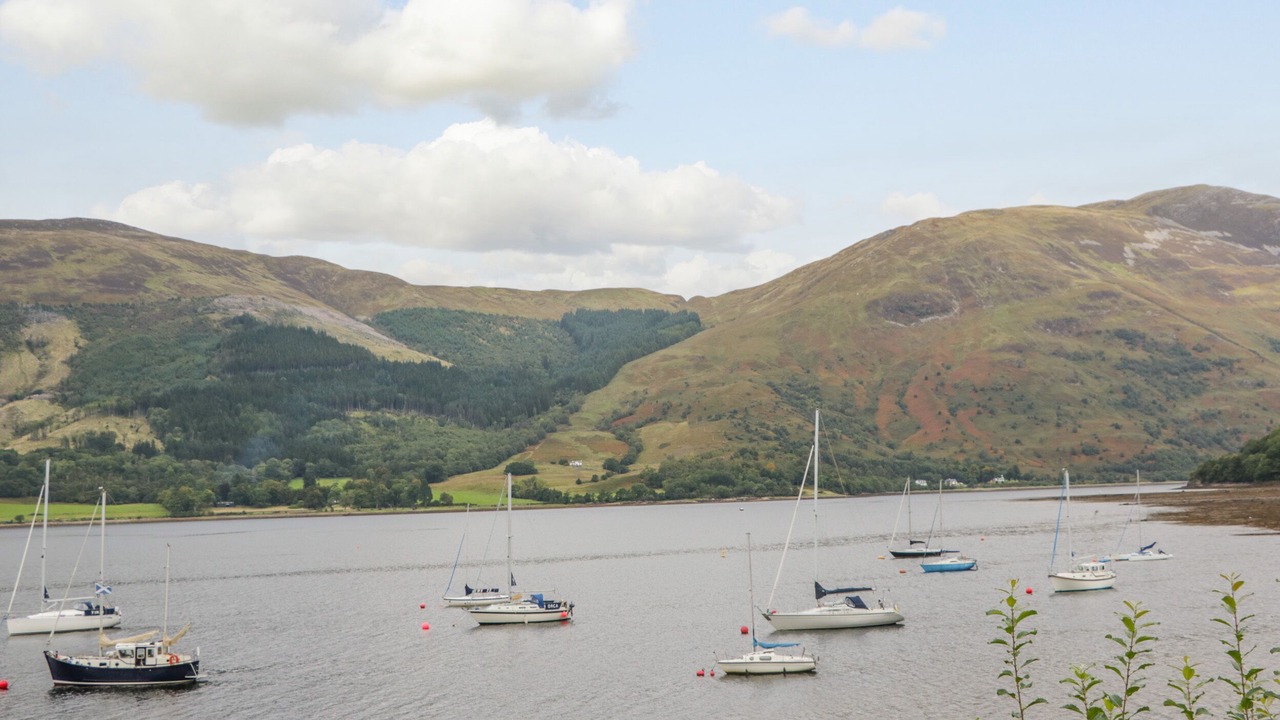 Photo of Others in West Laroch
