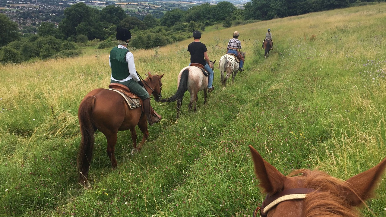 Photo of Outdoor in Cheltenham