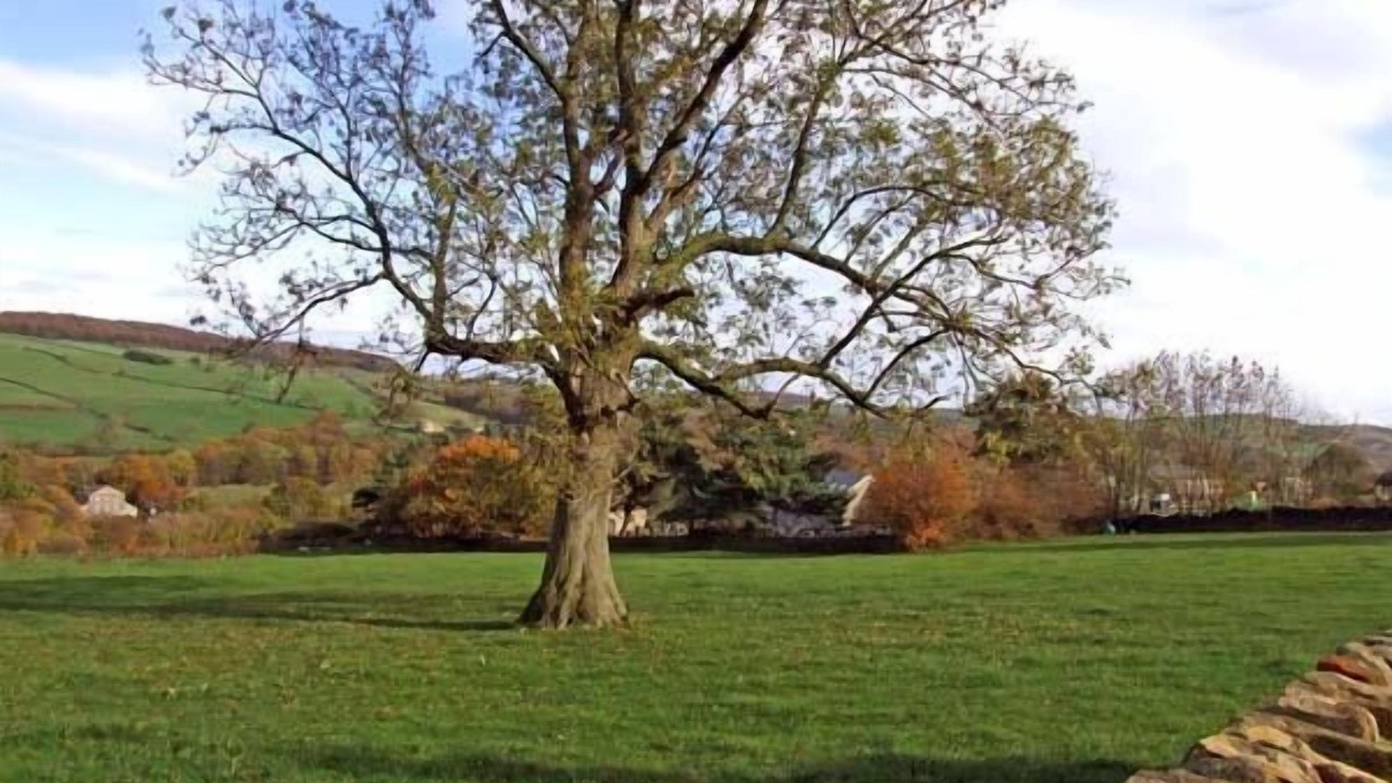 Photo of Outdoor in Midhopestones