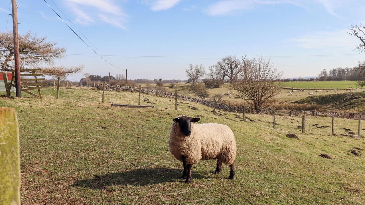 Photo of Outdoor in Bowsden