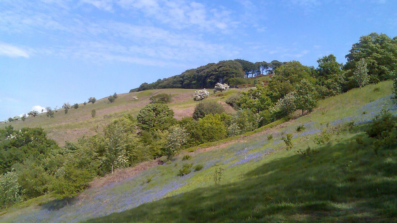 Photo of Others in Embsay