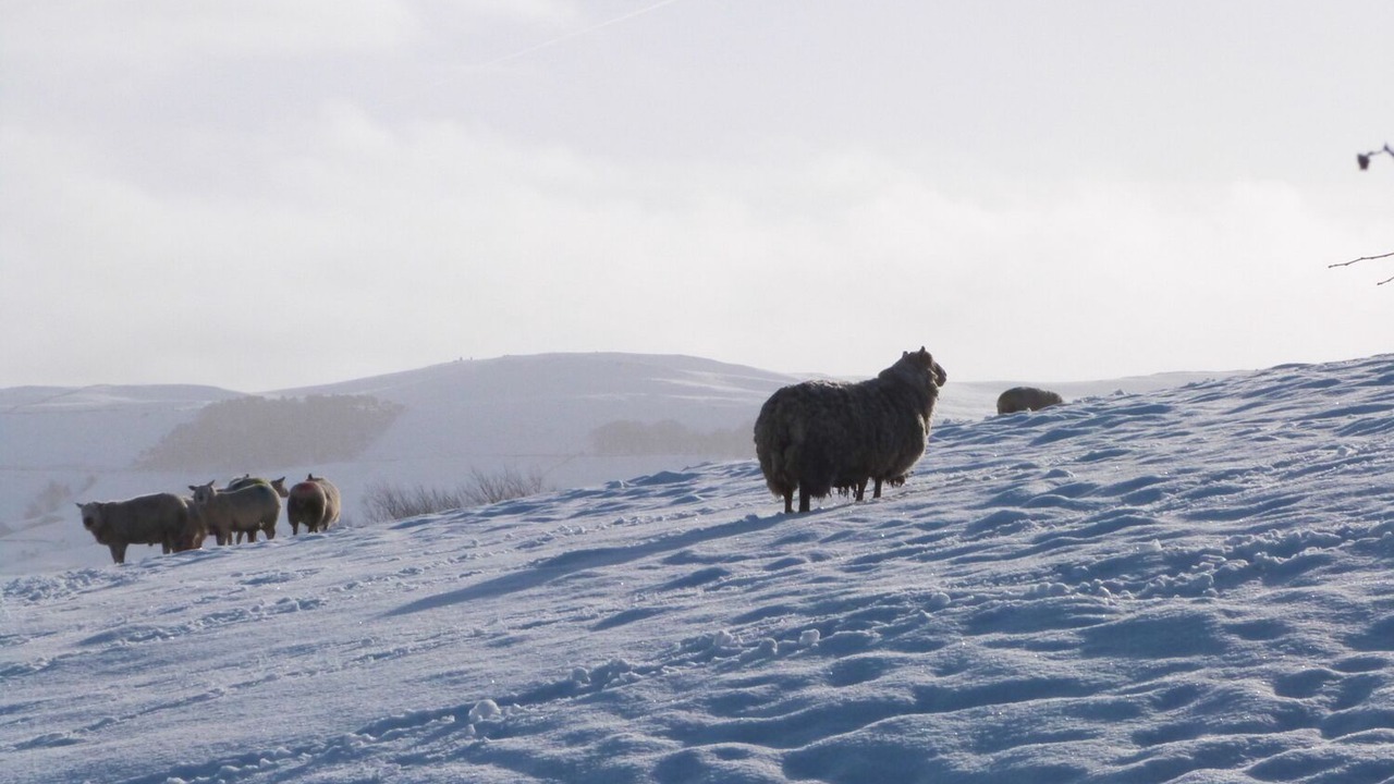 Photo of Others in Embsay