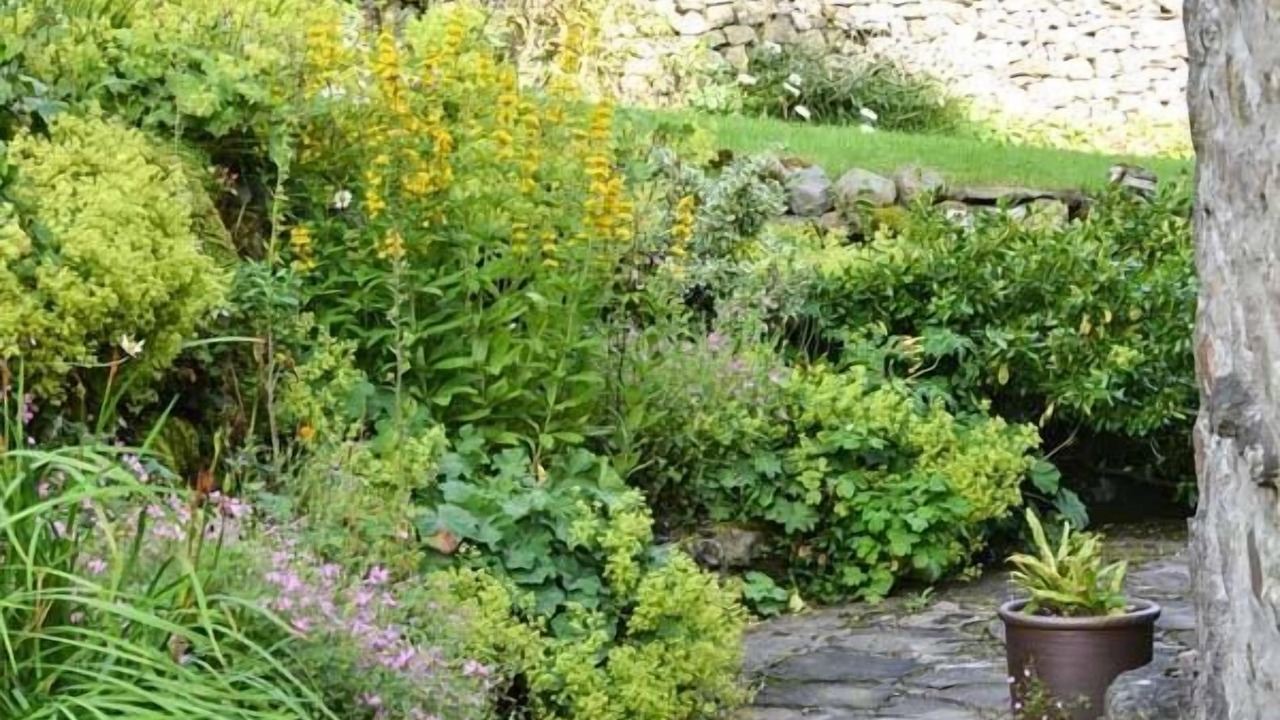 Photo of Outdoor in Horton in Ribblesdale