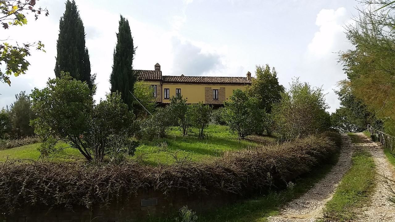 Photo of Outdoor in San Savino