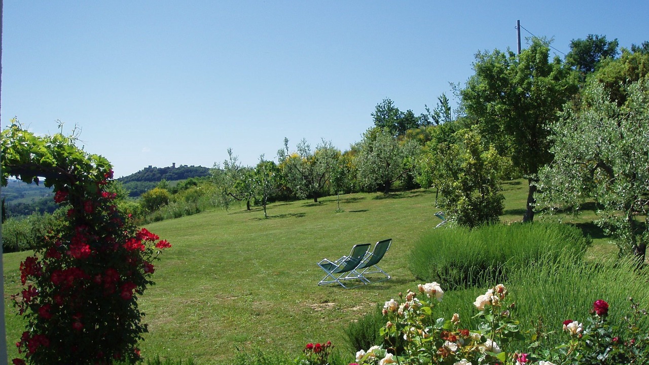 Photo of Outdoor in Lucardo
