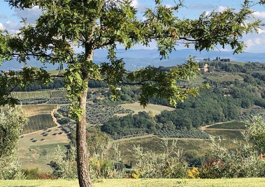 Photo of Outdoor in Lucardo