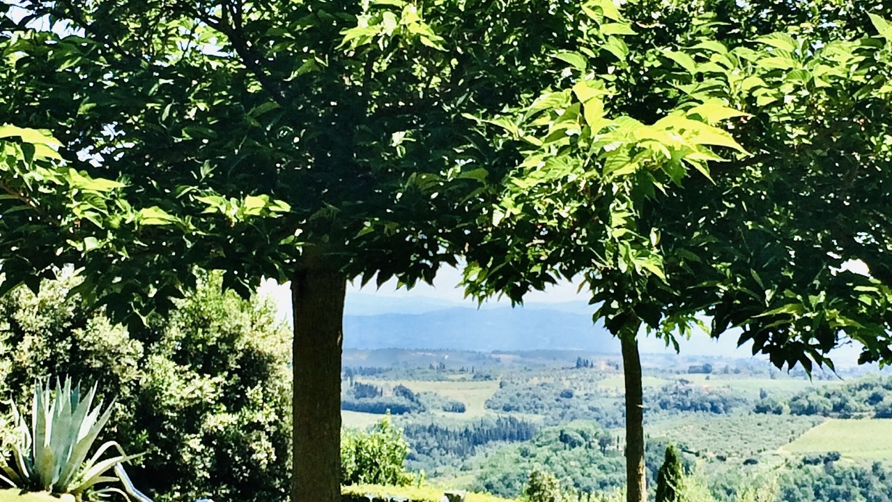 Photo of Outdoor in Lucardo