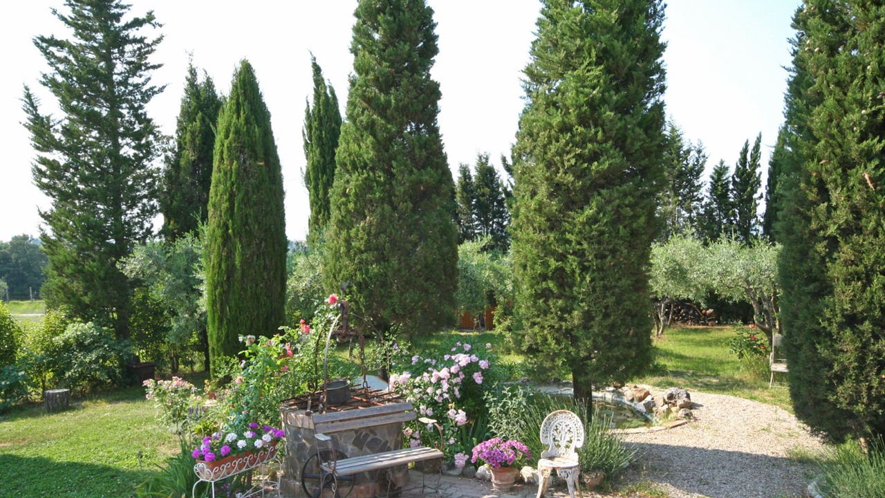 Photo of Outdoor in Certaldo