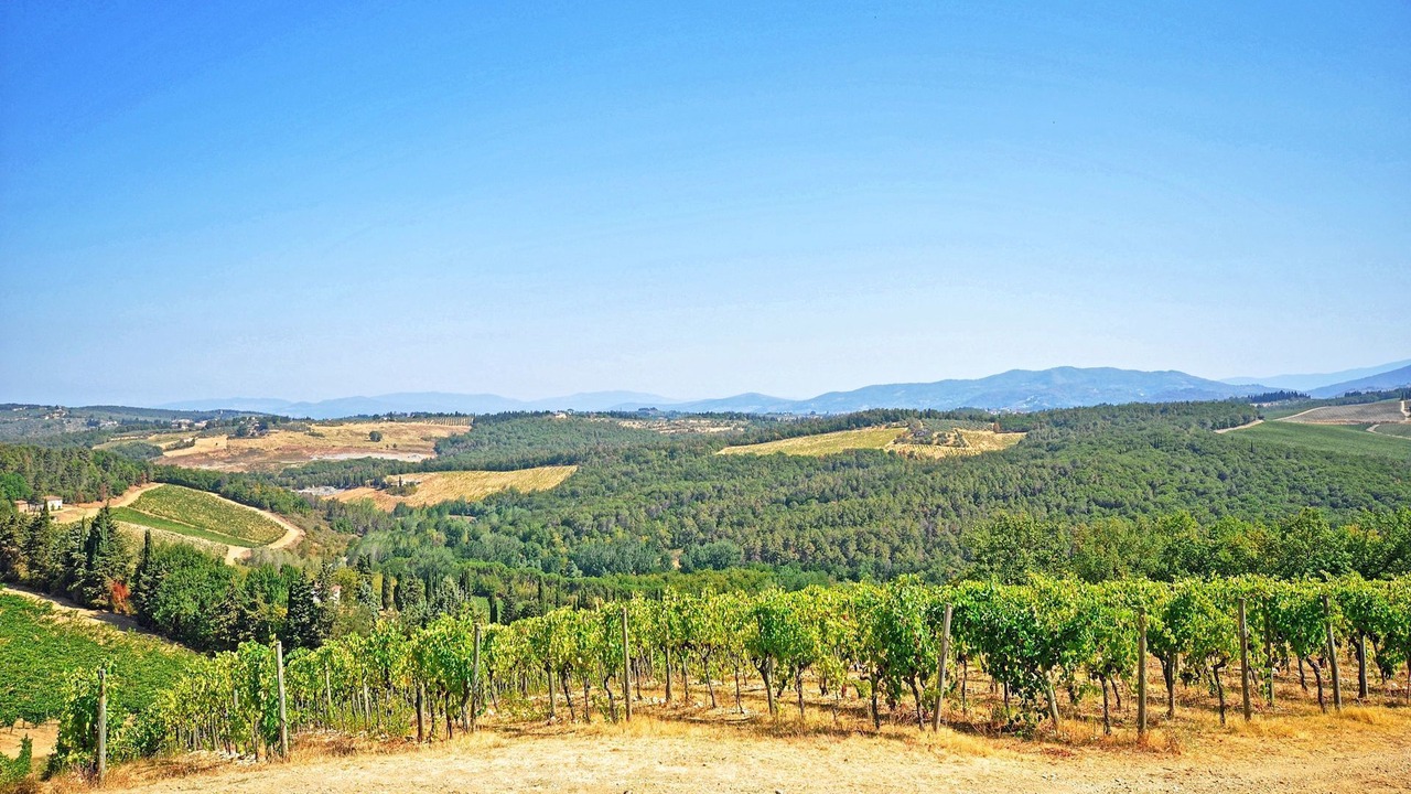 Photo of Others in San Casciano in Val di Pesa
