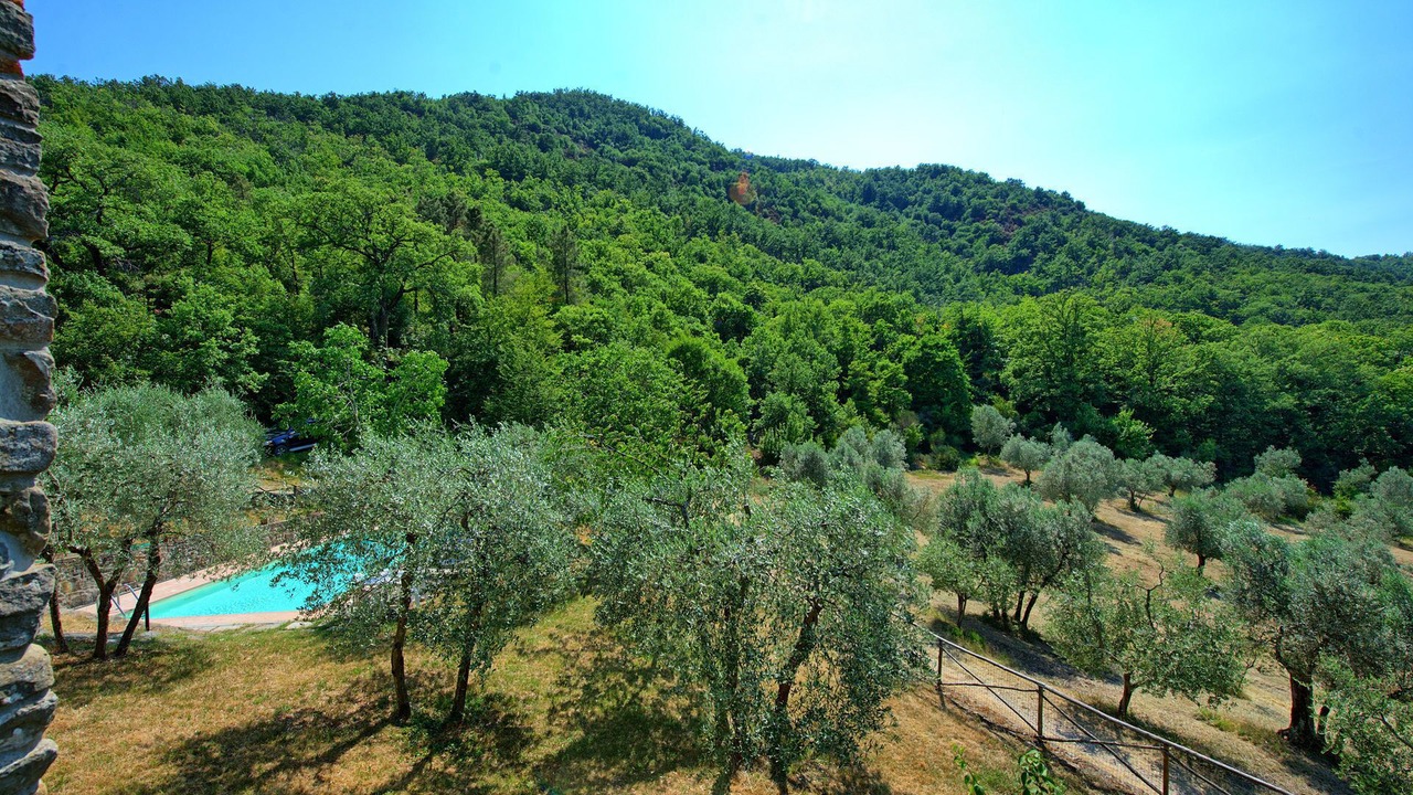 Photo of Outdoor in Greve in Chianti