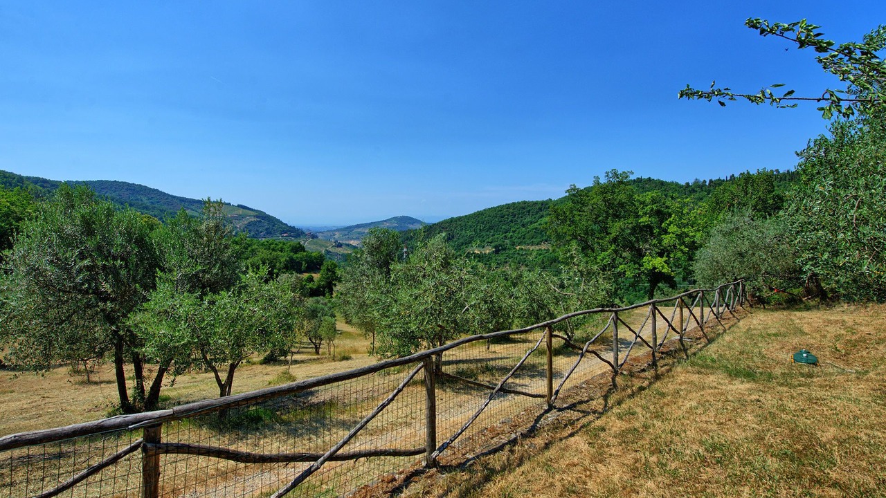 Photo of Outdoor in Greve in Chianti