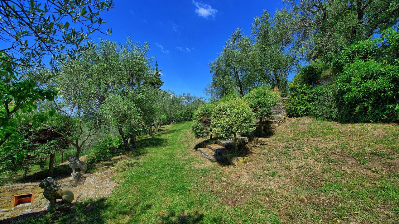 Photo of Outdoor in Greve in Chianti
