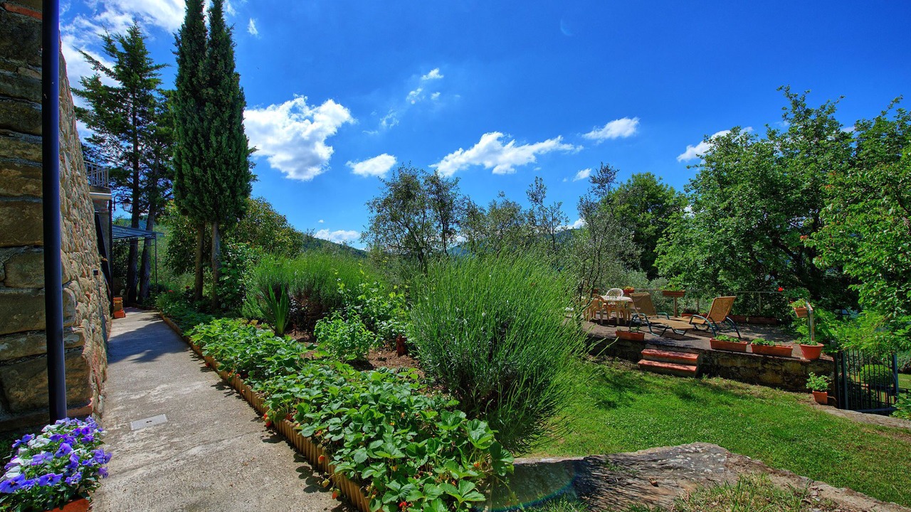 Photo of Outdoor in Greve in Chianti