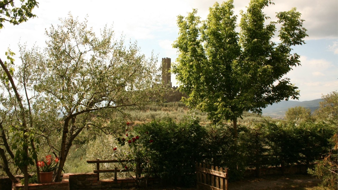 Photo of Others in Montecchio