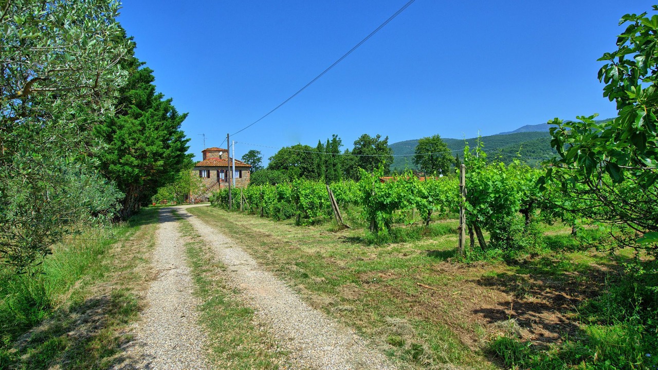 Photo of Others in Terranuova Bracciolini