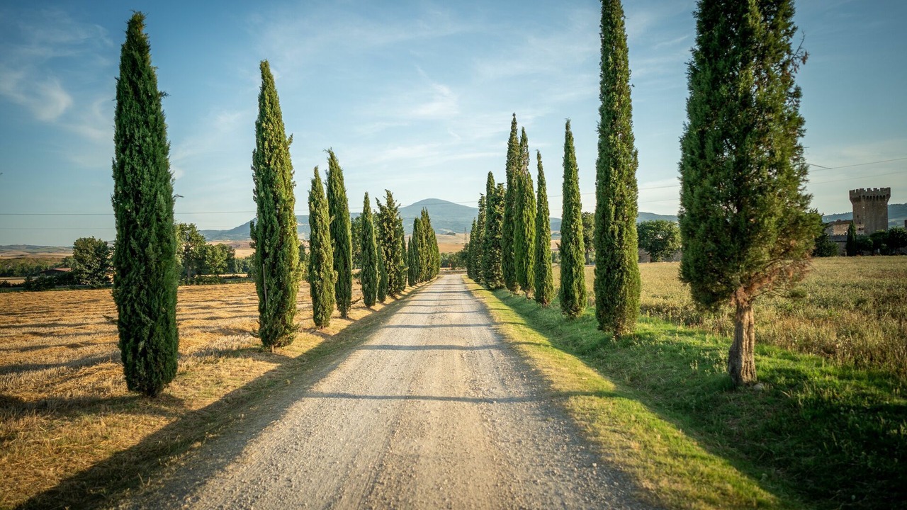 Photo of Outdoor in Gallina