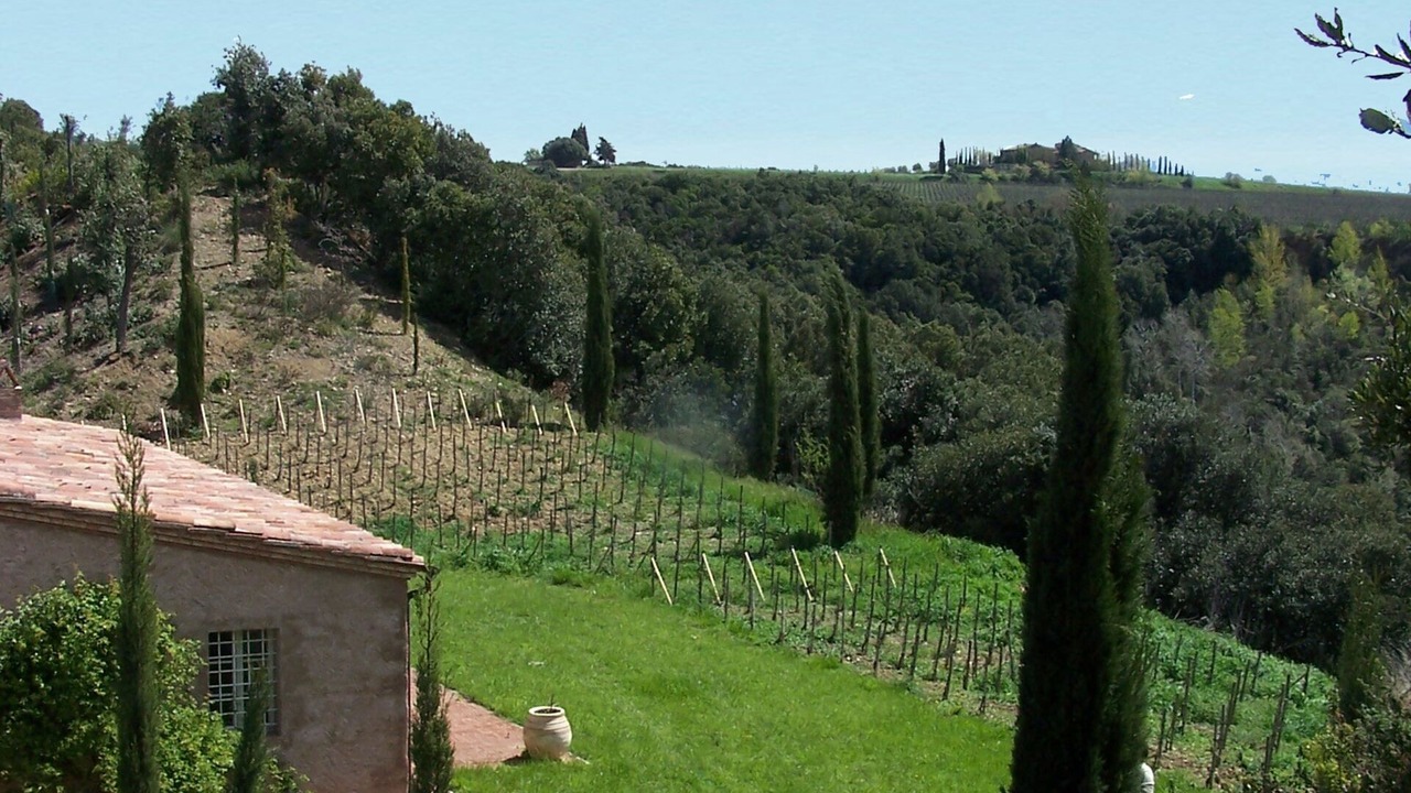 Photo of Others in Camigliano