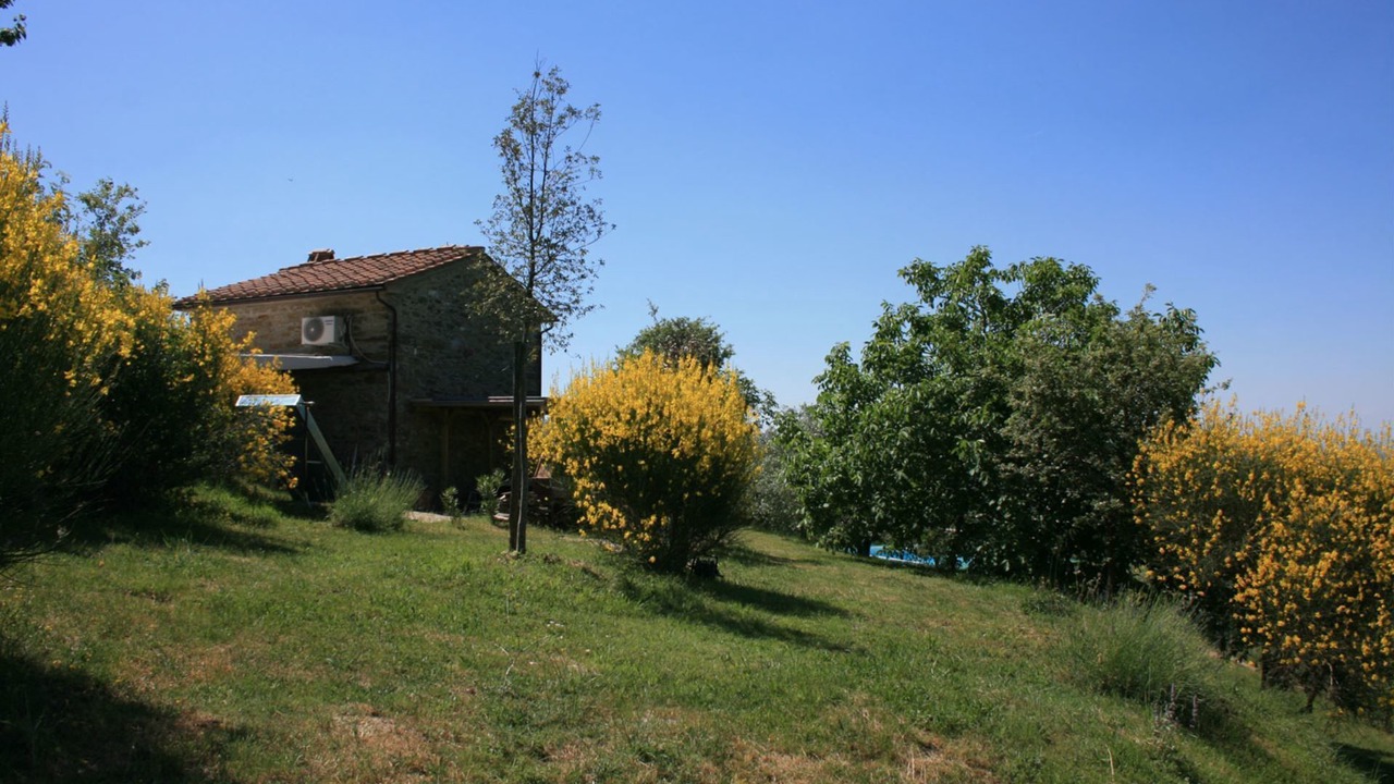 Photo of Others in Subbiano