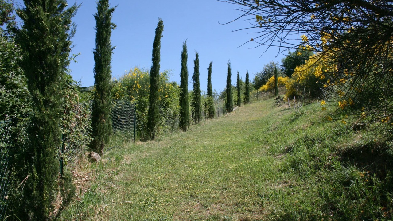 Photo of Others in Subbiano
