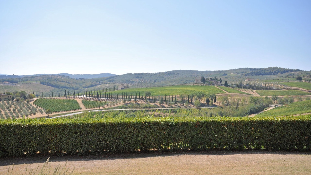 Photo of Others in San Casciano in Val di Pesa