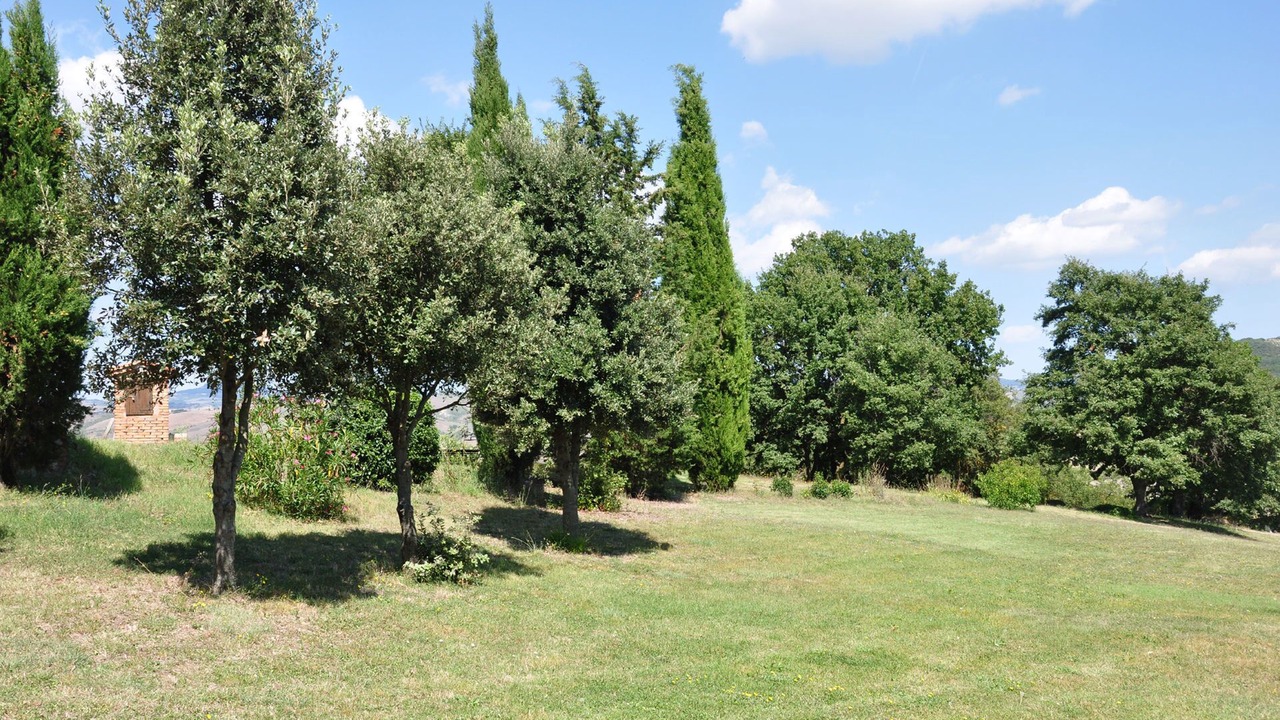 Photo of Outdoor in Il Poggio