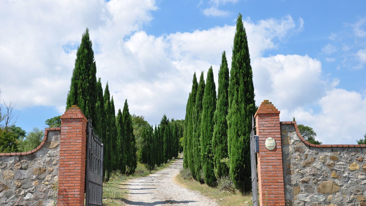 Photo of Outdoor in Il Poggio