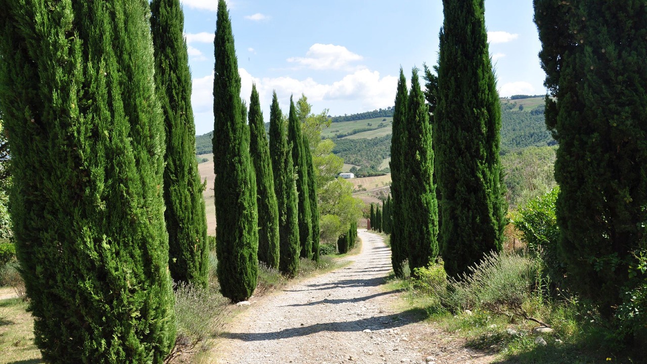 Photo of Outdoor in Il Poggio