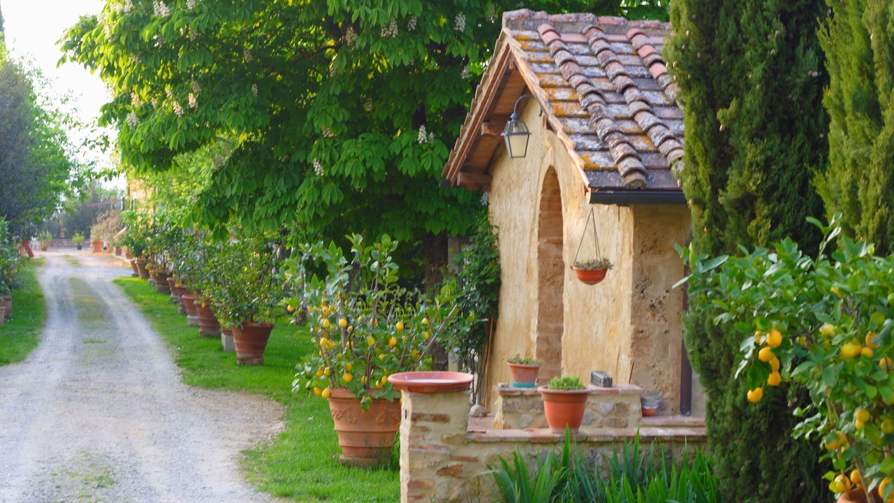 Photo of Others in Poggiarello
