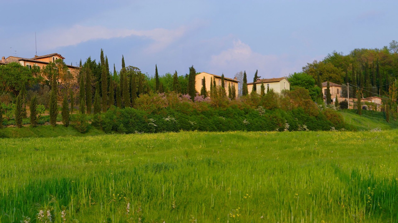 Photo of Others in Poggiarello