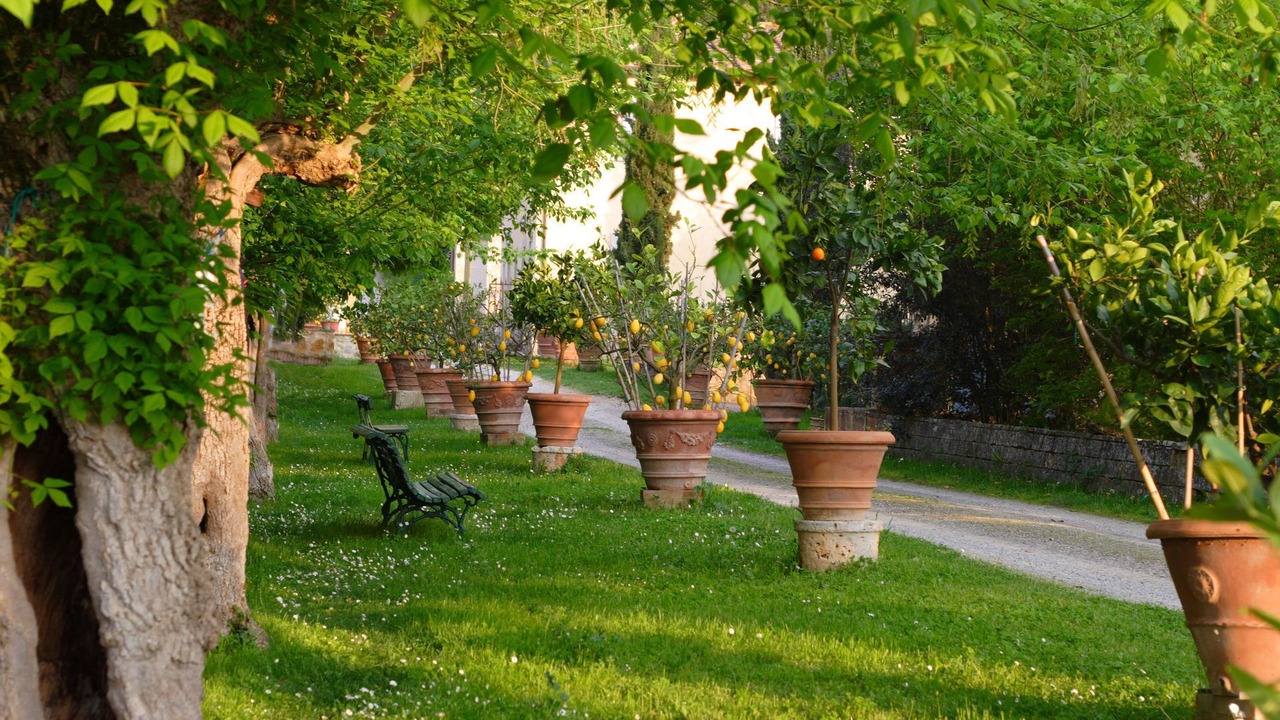Photo of Others in Poggiarello