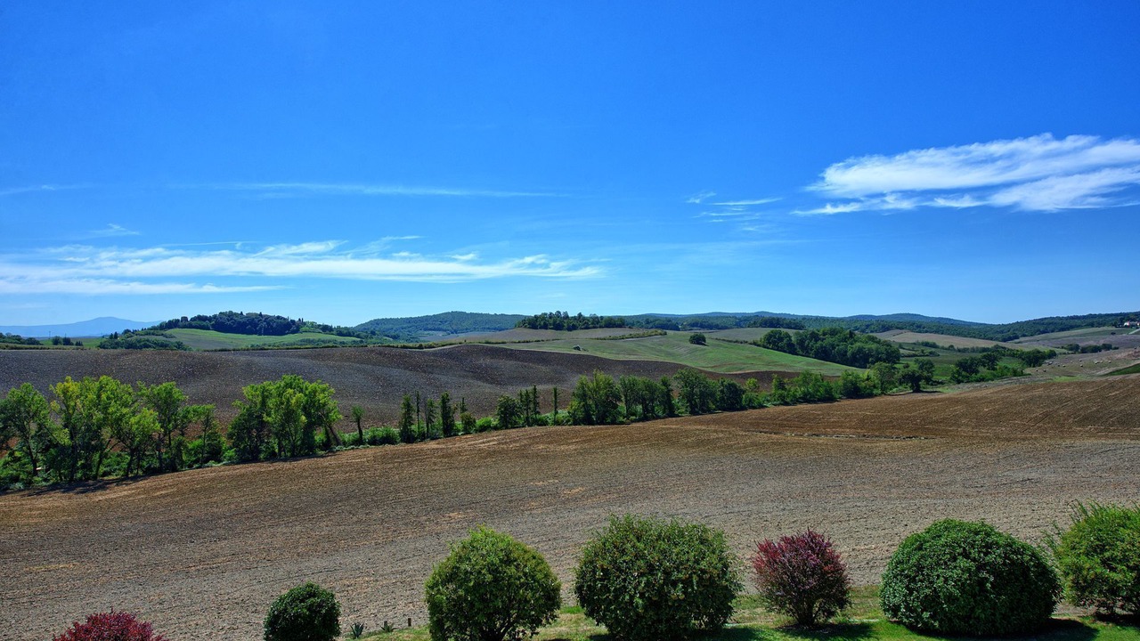 Photo of Outdoor in Monteroni d'Arbia