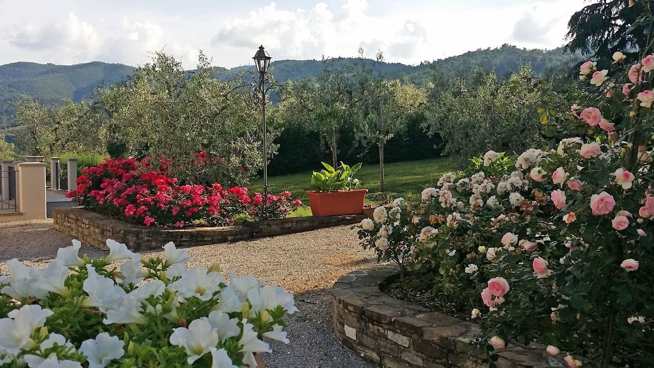 Photo of Outdoor in Figline e Incisa Valdarno