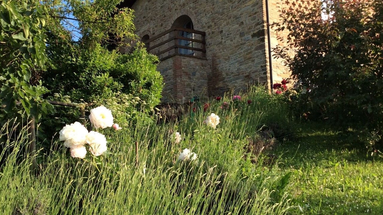 Photo of Others in Lugagnano Val D'Arda