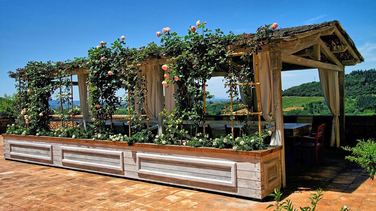 Photo of Outdoor in Petrognano
