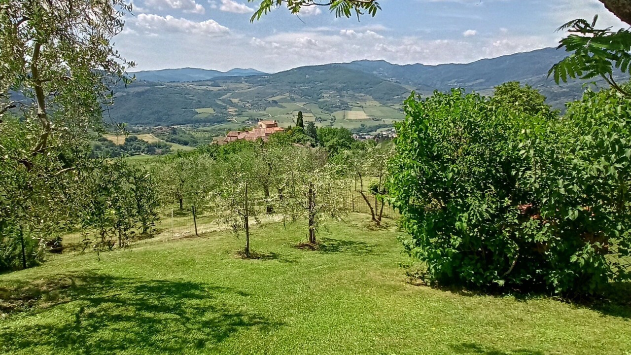 Photo of Others in Rufina