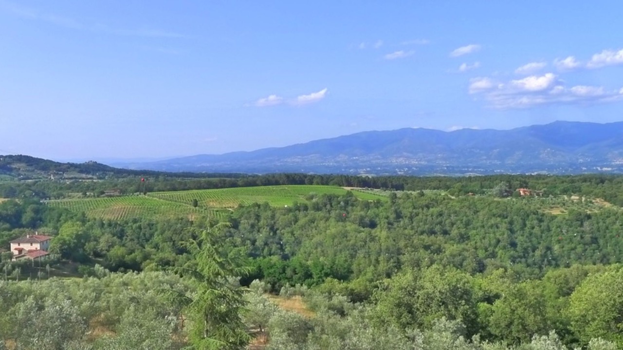 Photo of Others in Figline e Incisa Valdarno